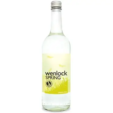 Wenlock Sparkling Water Large