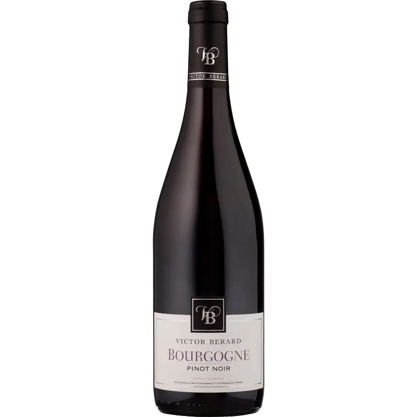 Victor Berard Bourgogne
